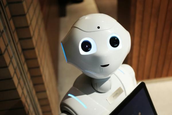 Bot