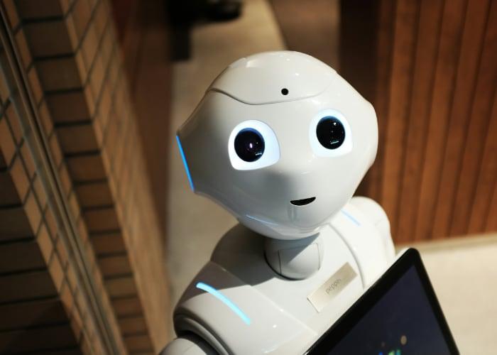 Bot